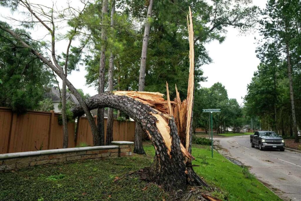 Storm Damage Tree Removal 1 1200x0 4