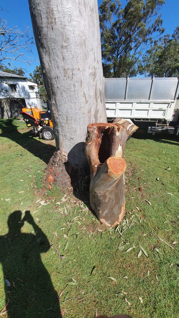 Granville 3 Affordable Tree Specialists Tree Cutting Services 49