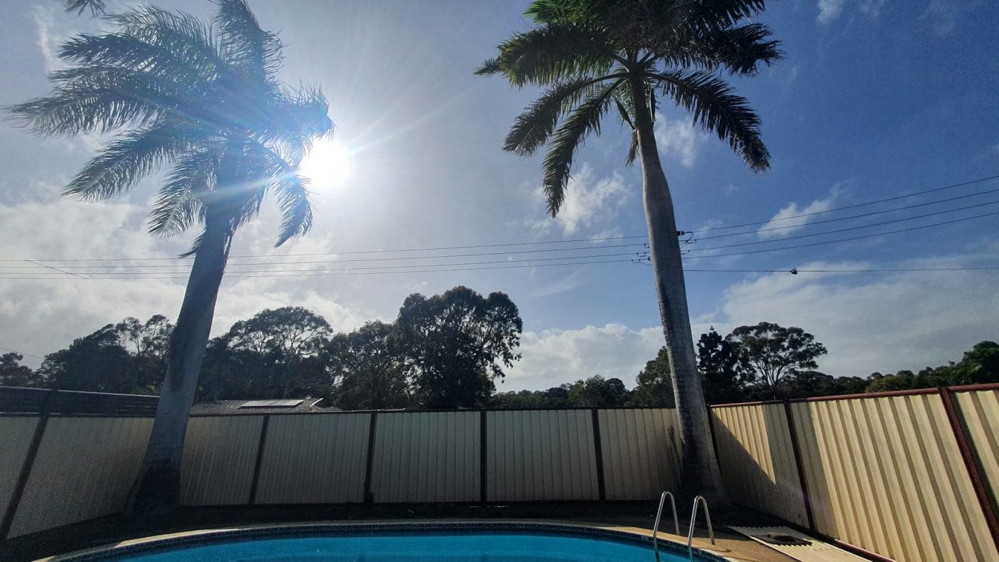Affordable Tree Specialists – Tree Cutting Services (50) Affordable Tree Specialists - Tree Cutting Services (50)