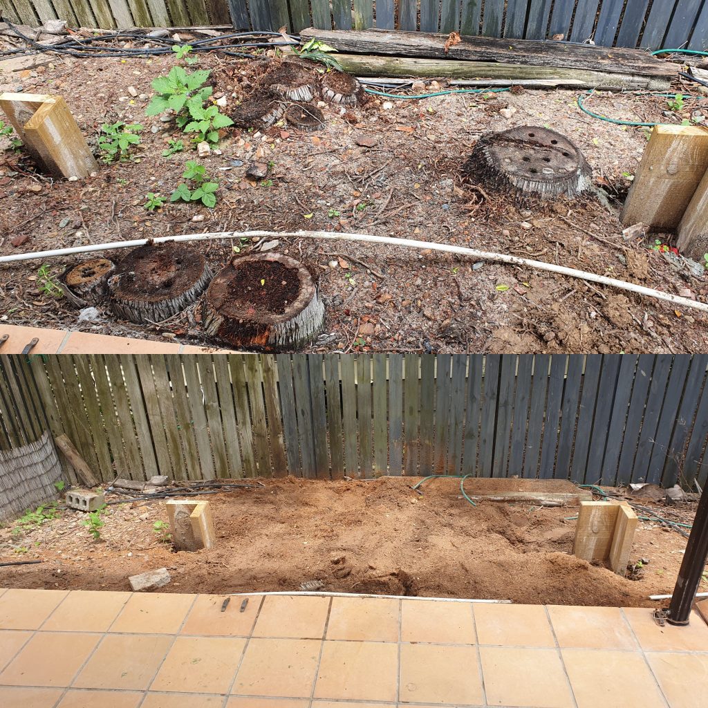 how to kill tree roots