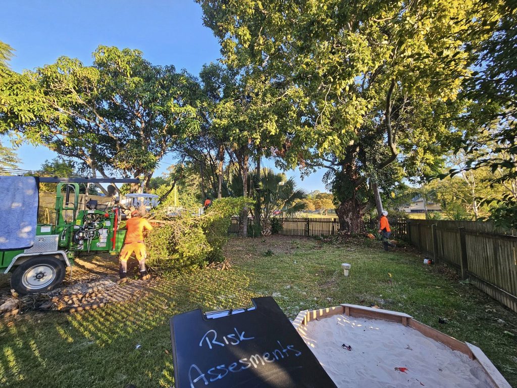 Affordable Tree Specialists crew chipping branches during a backyard tree removal