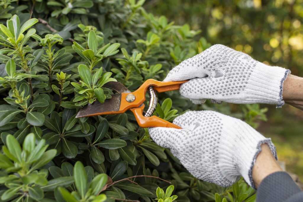 tree trimming tips