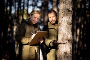 tree health assessment